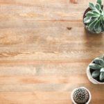 benefits of plants in the workplace obutto