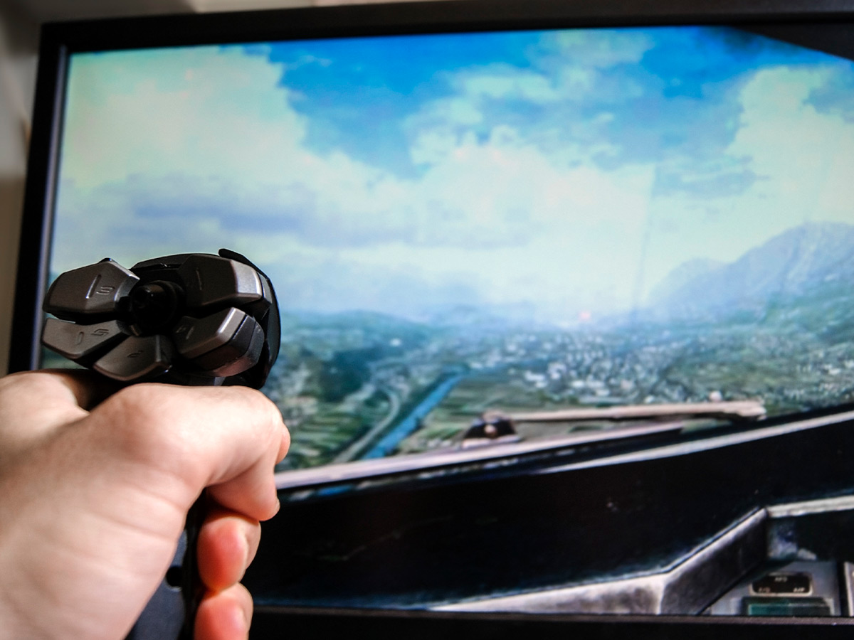 Image of someone playing a flight sim game